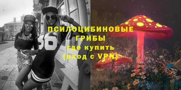 тгк Зеленодольск