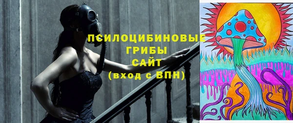 герыч Шадринск