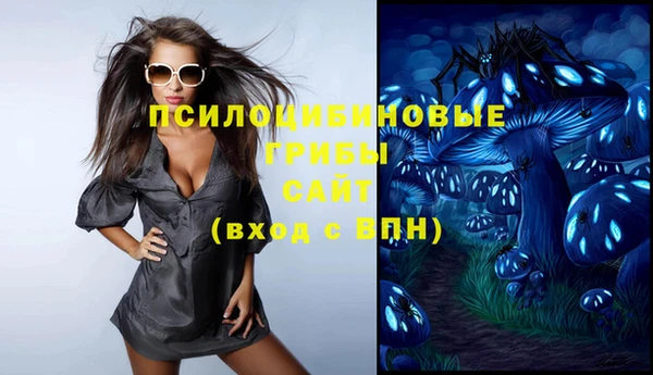 герыч Шадринск